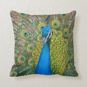 Peacock Blue Head with and Colourful Tail Feathers Throw Pillow