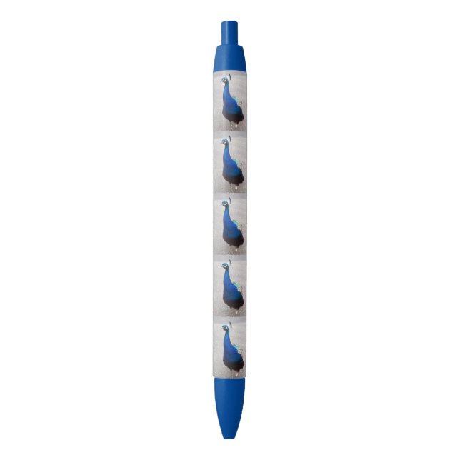 Peacock Blue Trim Pen (Front Vertical)