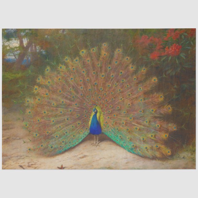 Peacock Boho Decoupage Peacocks Colourful Vintage Tissue Paper (Front)