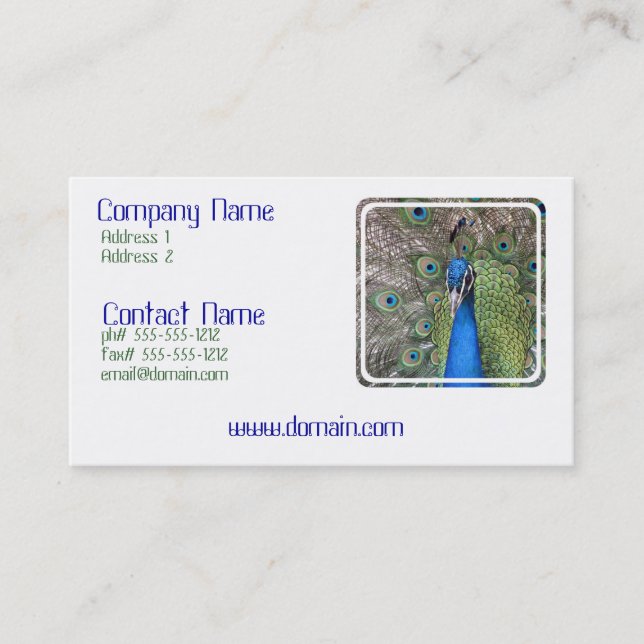 Peacock Business Card (Front)