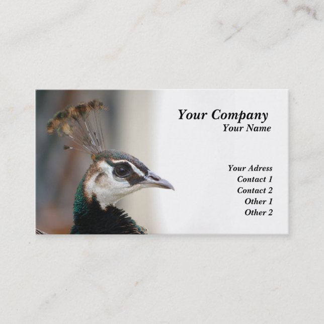 Peacock Business Card (Front)