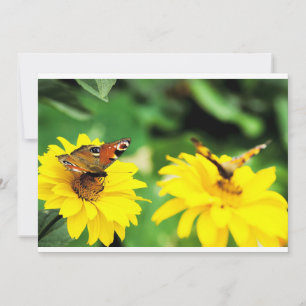 Peacock butterflies - Invitation