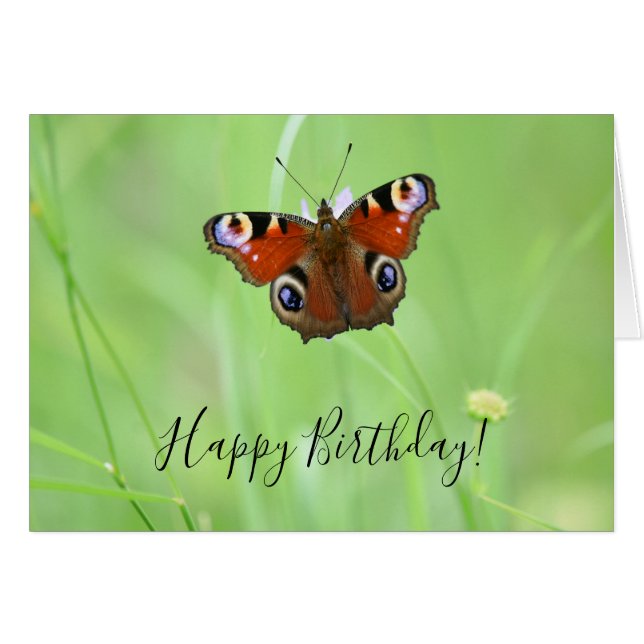 Peacock Butterfly (Front Horizontal)