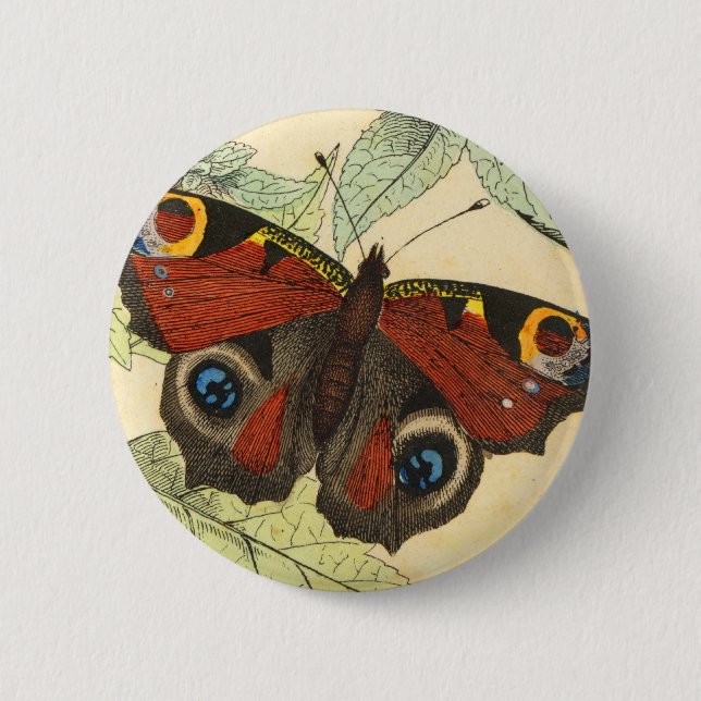 Peacock Butterfly 2 Inch Round Button (Front)