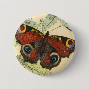 Peacock Butterfly 2 Inch Round Button