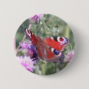 Peacock Butterfly in Summer Sunshine 2 Inch Round Button