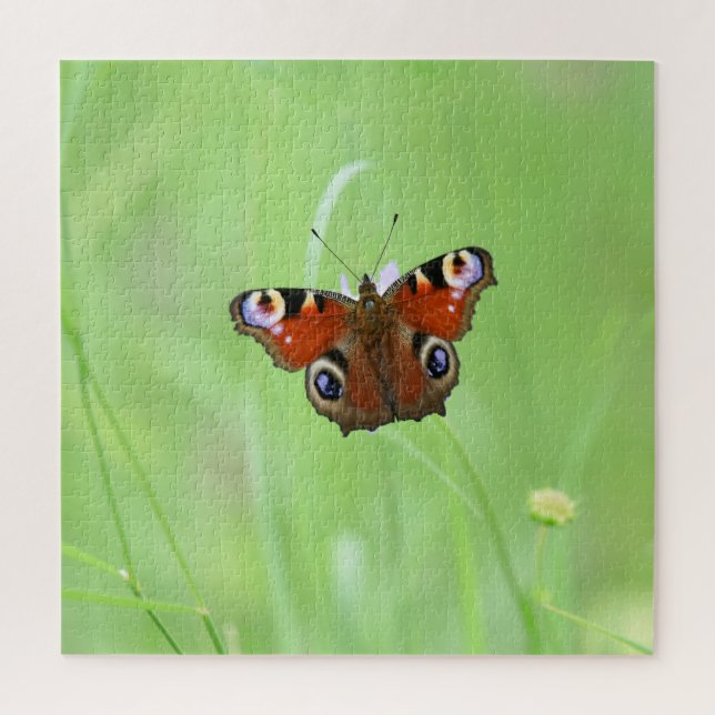 Peacock Butterfly Jigsaw Puzzle (Vertical)