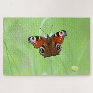 Peacock Butterfly Jigsaw Puzzle