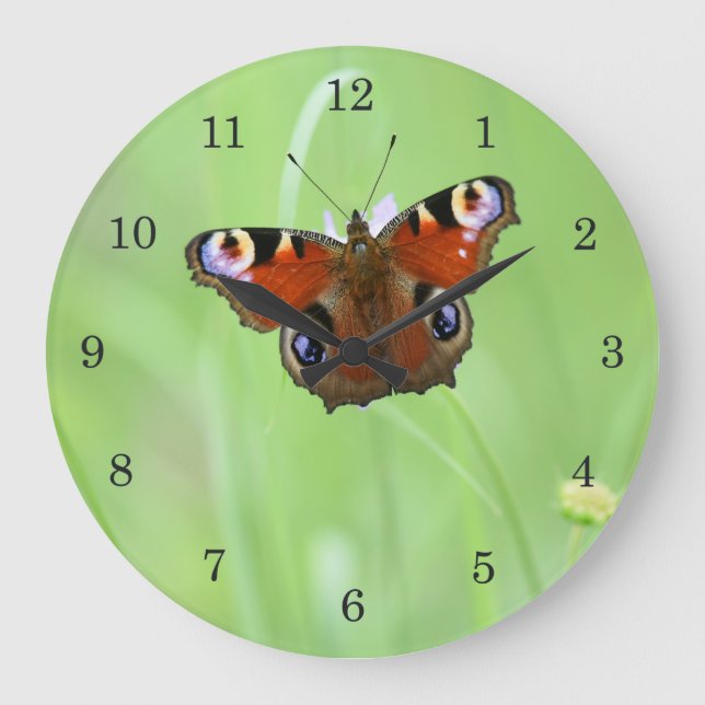 Peacock Butterfly Large Clock (Front)