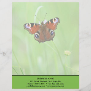 Peacock Butterfly Letterhead