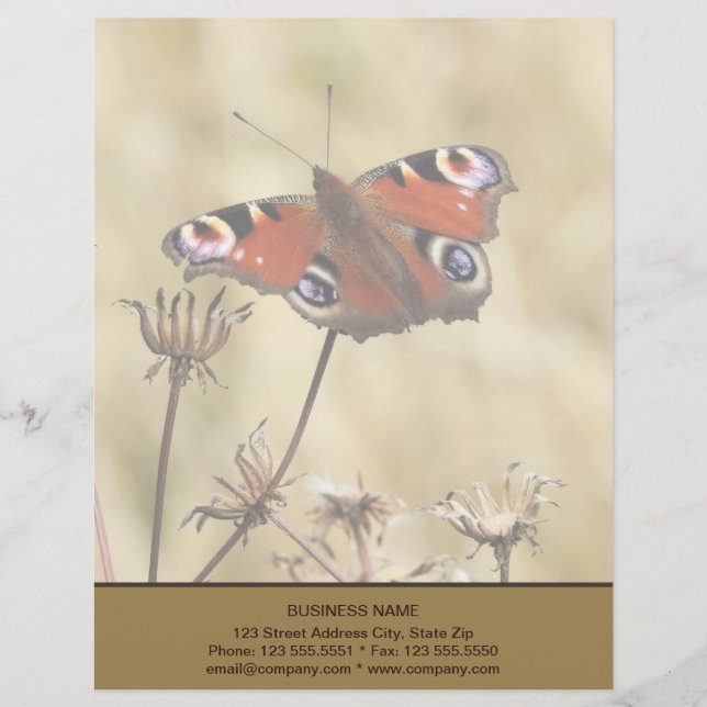 Peacock Butterfly Letterhead (Front)