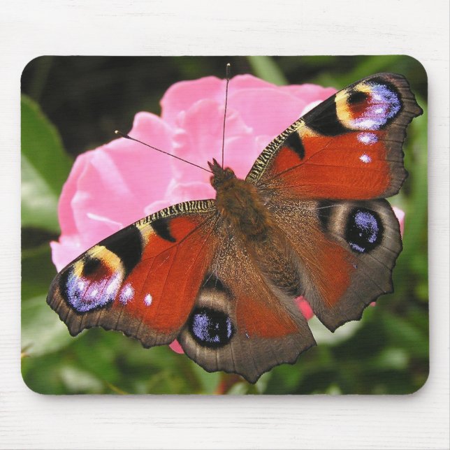 Peacock butterfly mouse pad (Front)