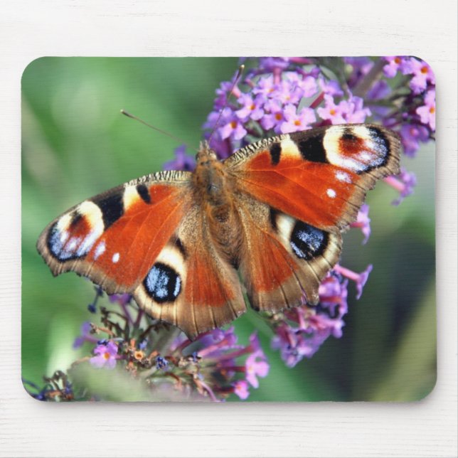 Peacock Butterfly Mousepad (Front)