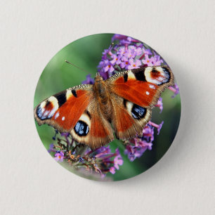 Peacock Butterfly Round Button