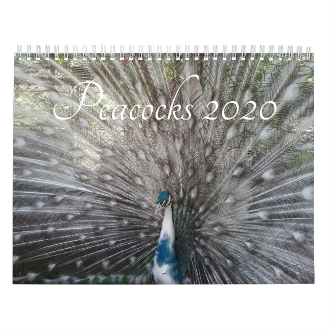 Peacock Calendar (Cover)