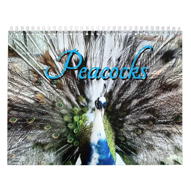 Peacock Calendar (Cover)