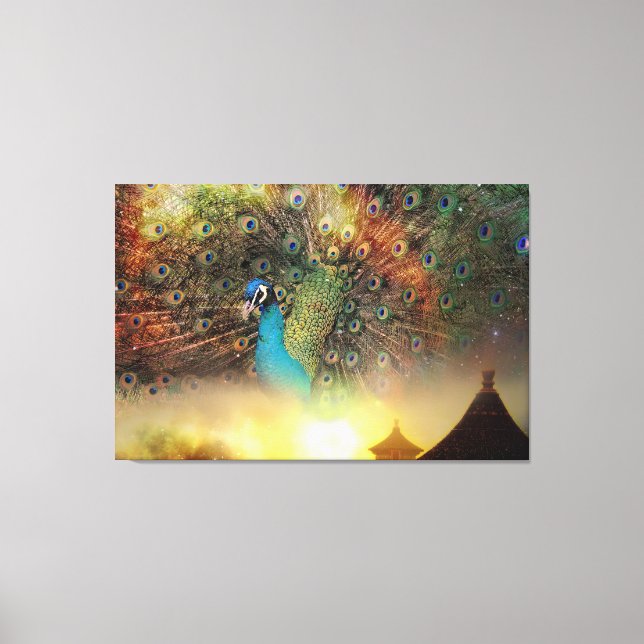 Peacock Canvas Print (Front)