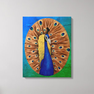Peacock Canvas Print