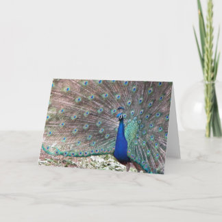 Peacock Card