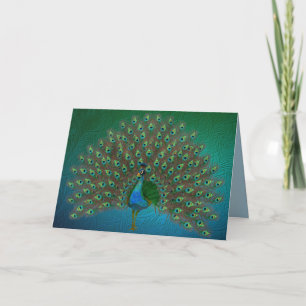 Peacock Card