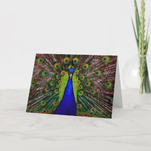 Peacock Card/ Invitation