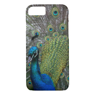 Peacock Case-Mate iPhone Case
