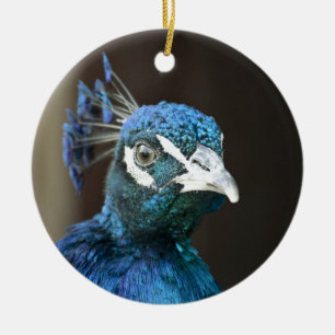 peacock ceramic ornament