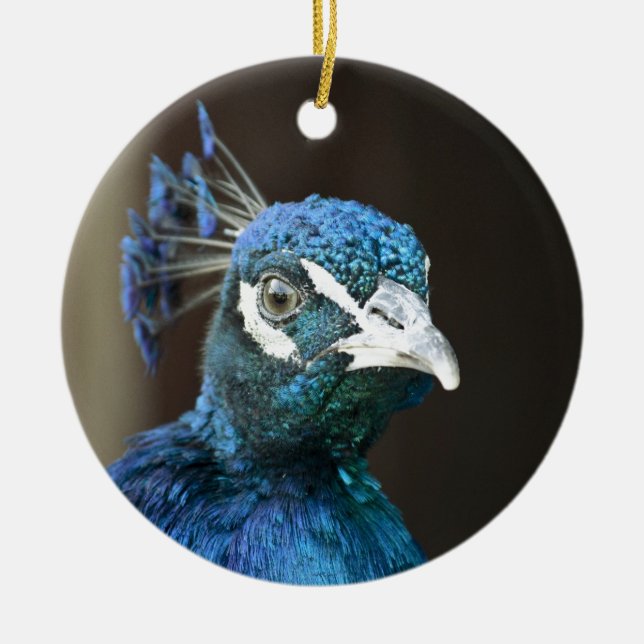 peacock ceramic ornament (Front)