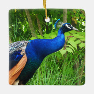 Peacock Ceramic Ornament