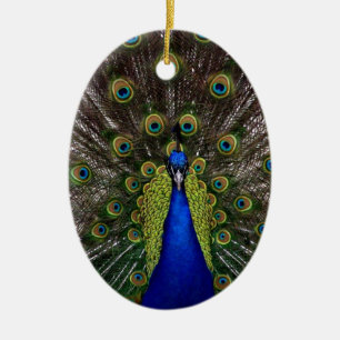Peacock Ceramic Ornament