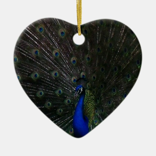 Peacock  ceramic ornament (Front)