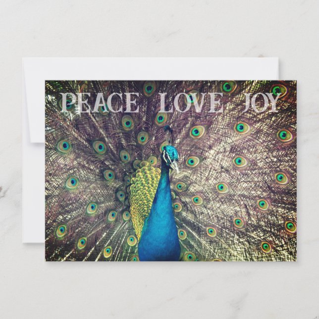 Peacock Christmas Card (Front)