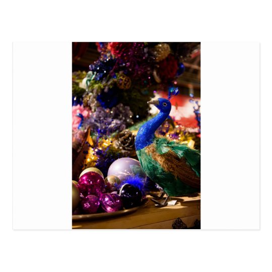 Peacock Christmas Design Postcard