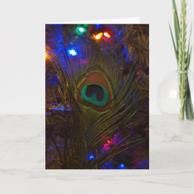 Peacock Christmas Feather Holiday Card (Front)