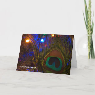 Peacock Christmas Feather Holiday Card