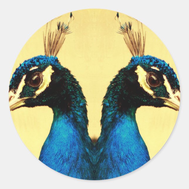 peacock classic round sticker (Front)