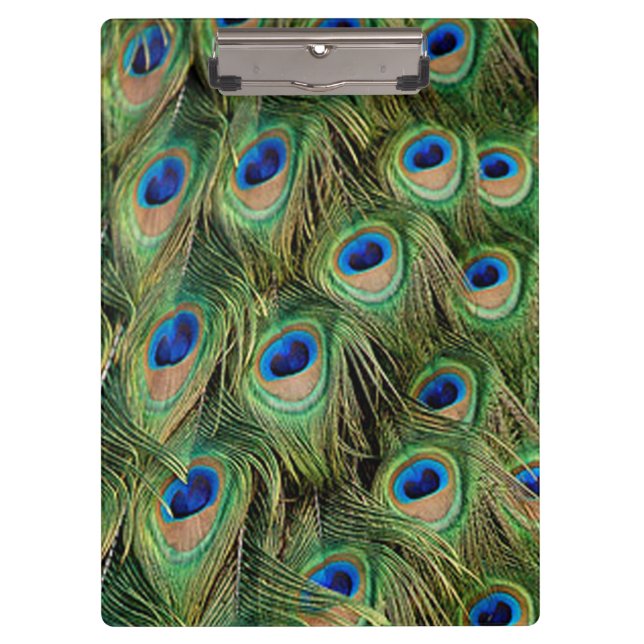 Peacock Clipboard (Front)