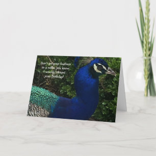 Peacock Close Up Birthday Card