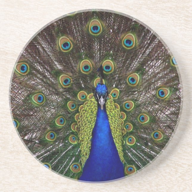 Peacock Coaster (Front)