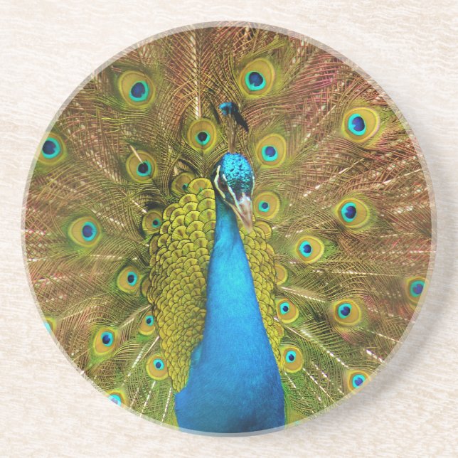 peacock coaster (Front)