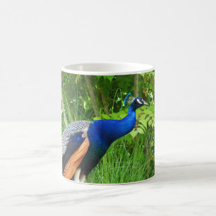 Peacock Coffee Mug