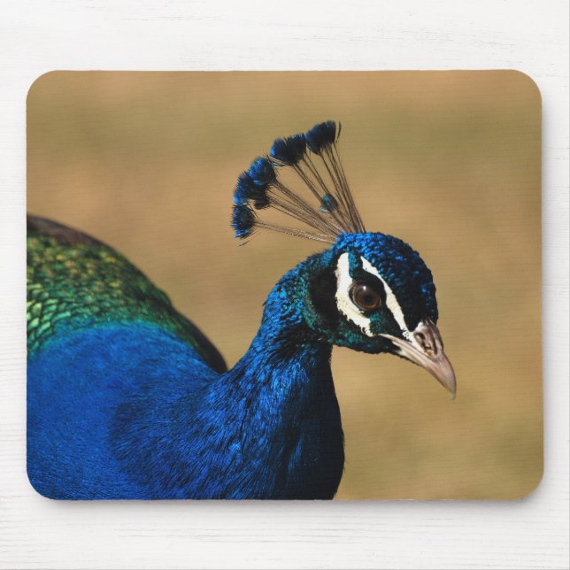 Peacock customizable mousemats & mousepad (Front)