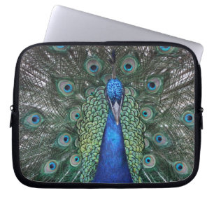 Peacock Daze Laptop Sleeve