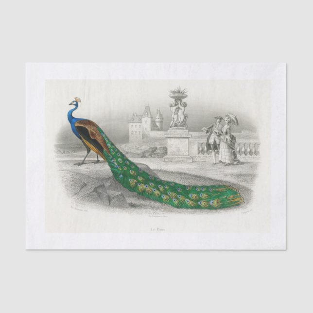 Peacock decoupage paper (Front)