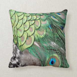 Peacock Delight Throw Pillow
