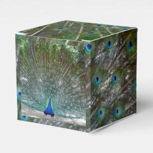 Peacock Design Party Favor Box