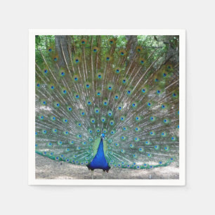 Peacock Design Party Napkins
