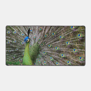 Peacock Desk Mat