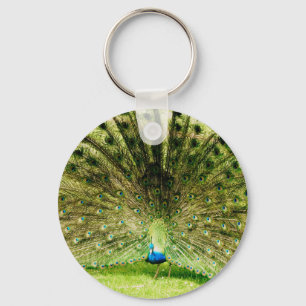 Peacock Display Colors Keychain