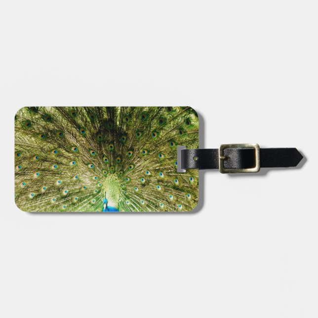 Peacock Display Colours Luggage Tag (Front Horizontal)